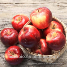 100% Натуральный Сертифицированный Органический Яблочный Сок Фруктовый Экстракт Порошок